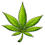 Grow Logo
